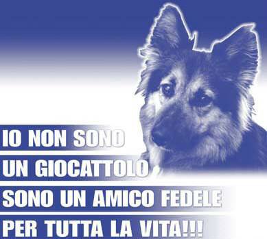 L'immagine �http://www.ilcantucciodelledonne.com/Images/imm001212%20(amico%20fedele).jpg� non pu� essere visualizzata poich� contiene degli errori.